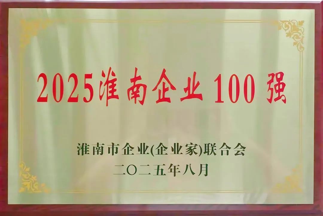 中环新能源(01735.HK)荣获“2025淮南100强企业”