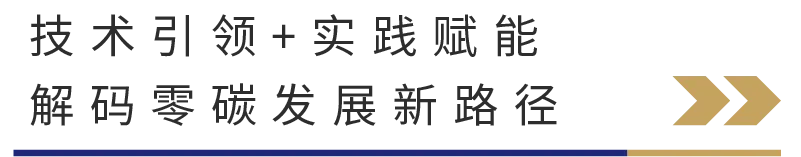 1766646403487066.jpg 15.jpg