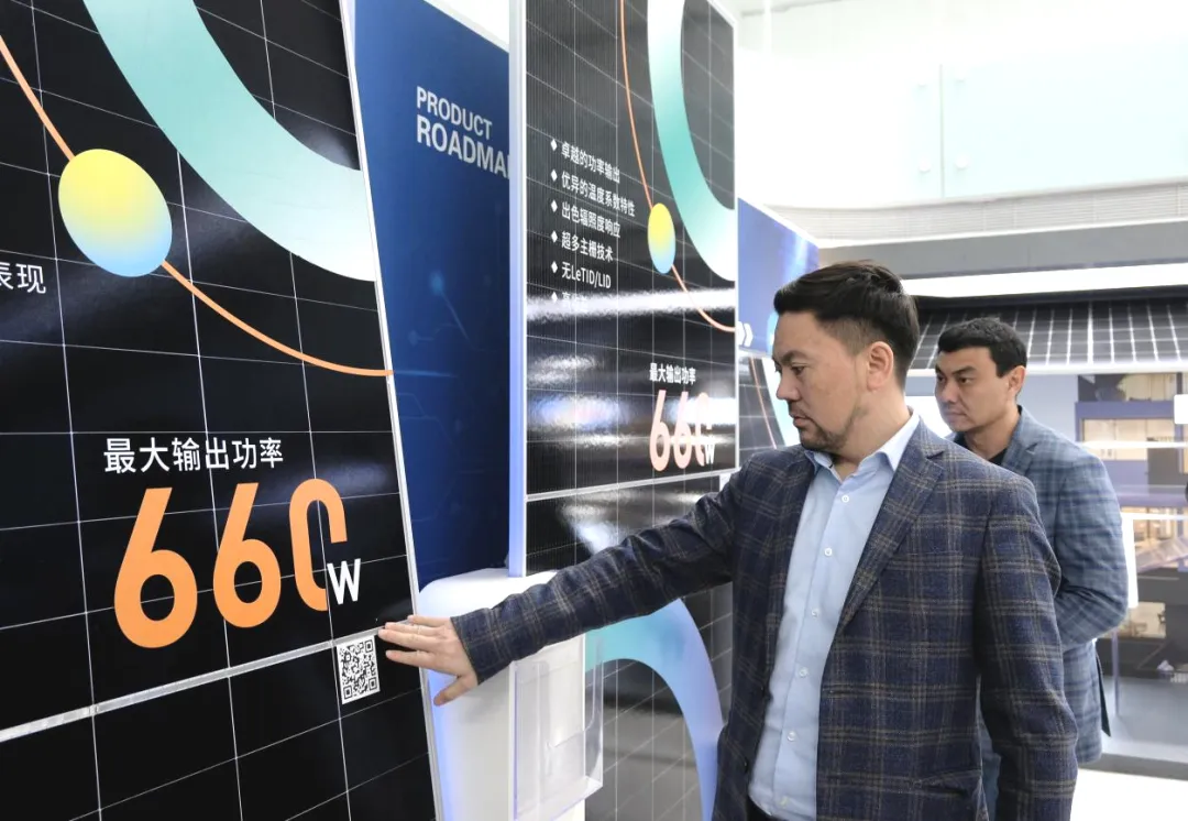 1774248454939757.jpg 7.jpg